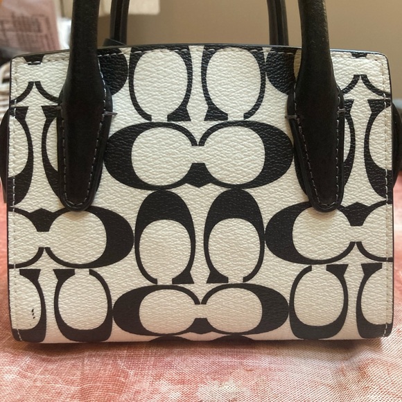 Coach Andrea Mini Carryall In Signature Canvas - Picture 4 of 6